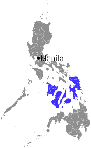 visayas filipinas