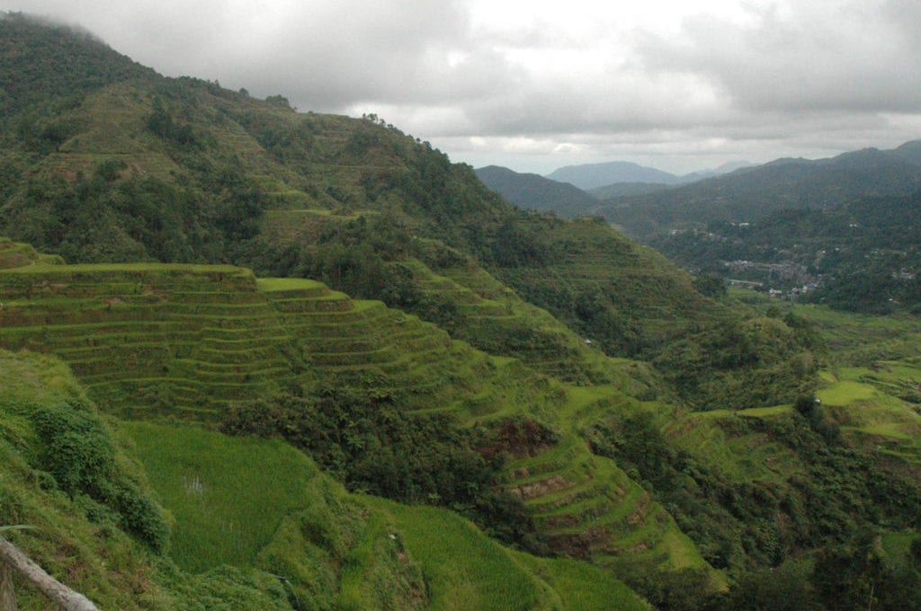 LA CORDILLERA
