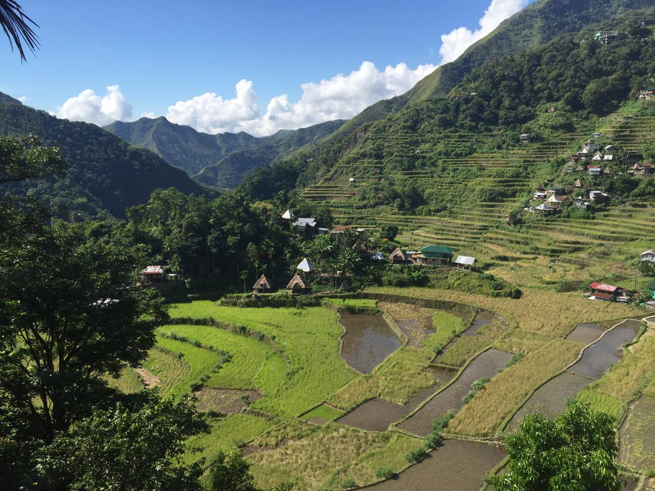 13901947_10157333764365374_900017214_o BANAUE