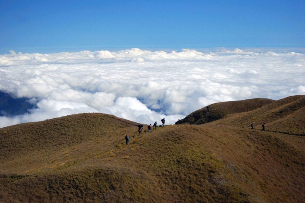 mont-pulag MONT PULAG FILIPINAS